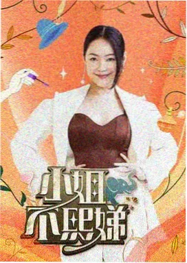 一起去露营户外真人秀在线观看